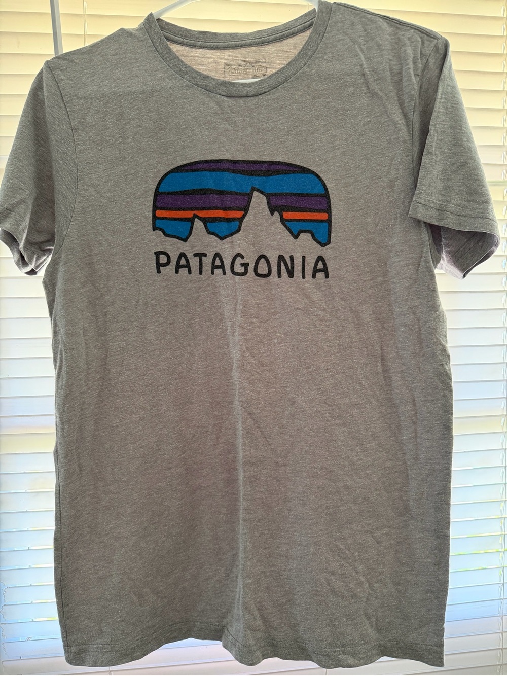 Patagonia Slim Fit Men’s T-shirt - Small